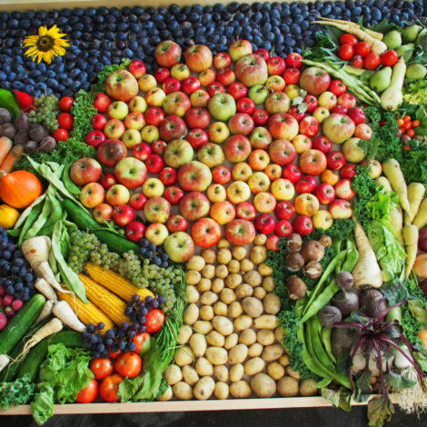 Superfood Obst und Gemüse