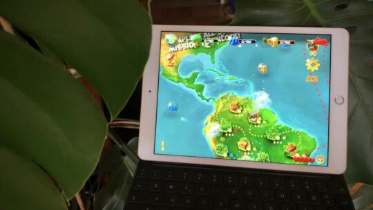 Tablet mit Online Umweltspiel neben große Zimmerpflanze