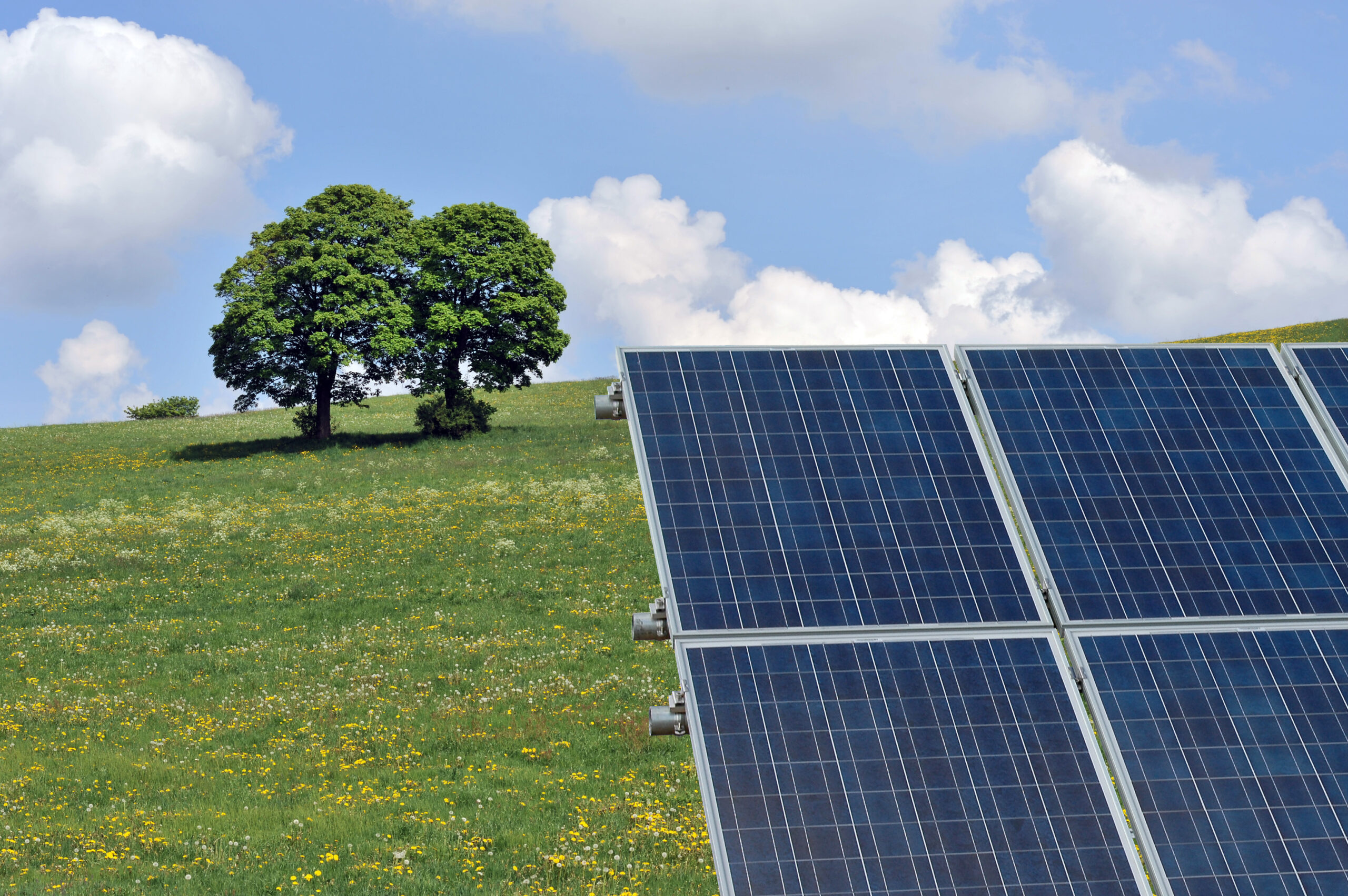 Photovoltaikanlage auf einer Blumenwiese