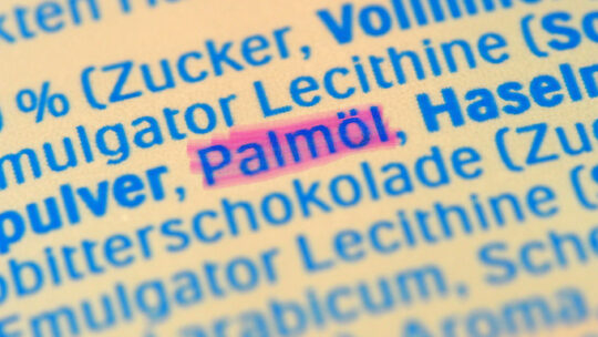 Palmöl