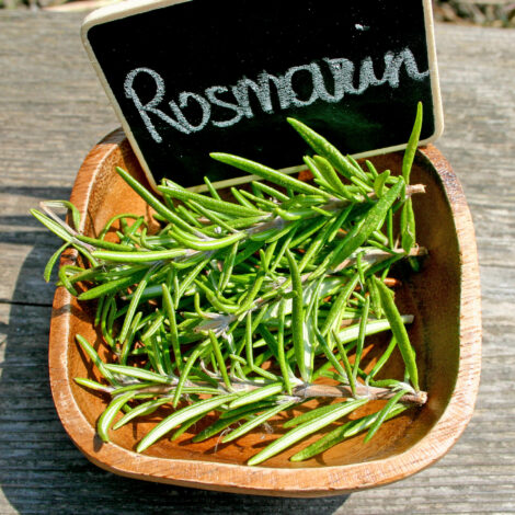 Rosmarin in Schüssel