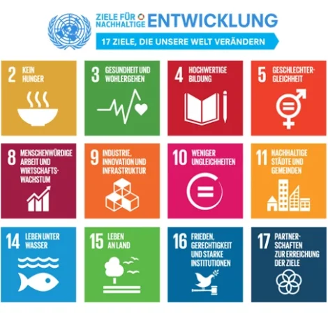 UN-Entwicklungsziele Icons