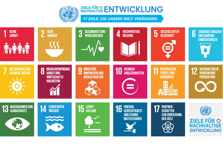 UN-Entwicklungsziele Icons
