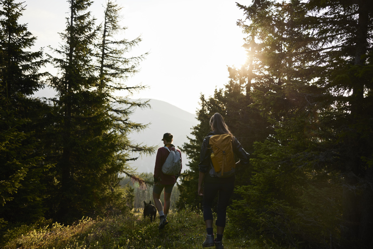 Wanderer zwischen Bäumen strahlt die Sonne durch