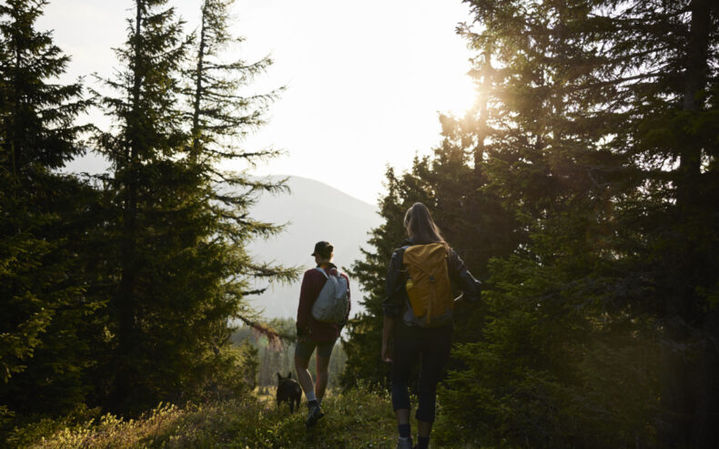 Wanderer im Wald auf der Rax