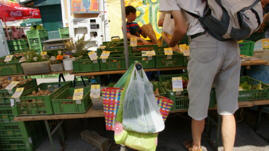 Einkauf am Markt mit Taschen und Sackerl