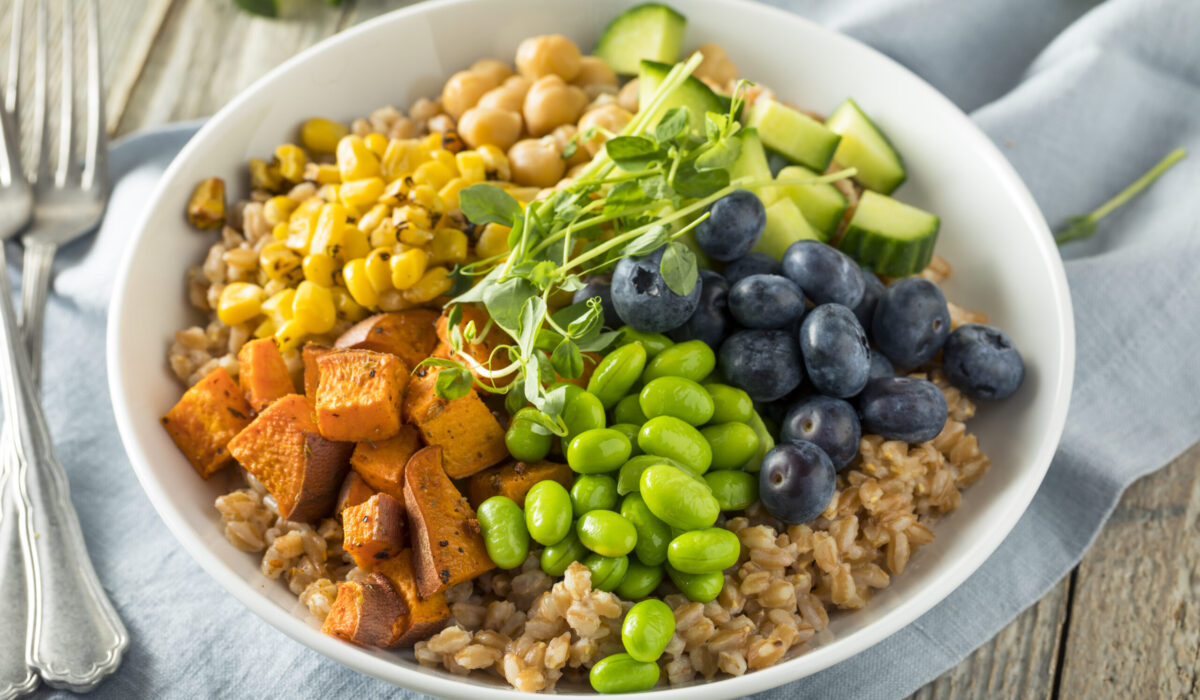 Sommer Bowl Teller mit Hirse, geröstetem Kürbis, Mais, Kichererbsen, Bohnen, Gurken und Heidelbeeren