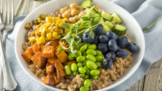 Sommer Bowl Teller mit Hirse, geröstetem Kürbis, Mais, Kichererbsen, Bohnen, Gurken und Heidelbeeren