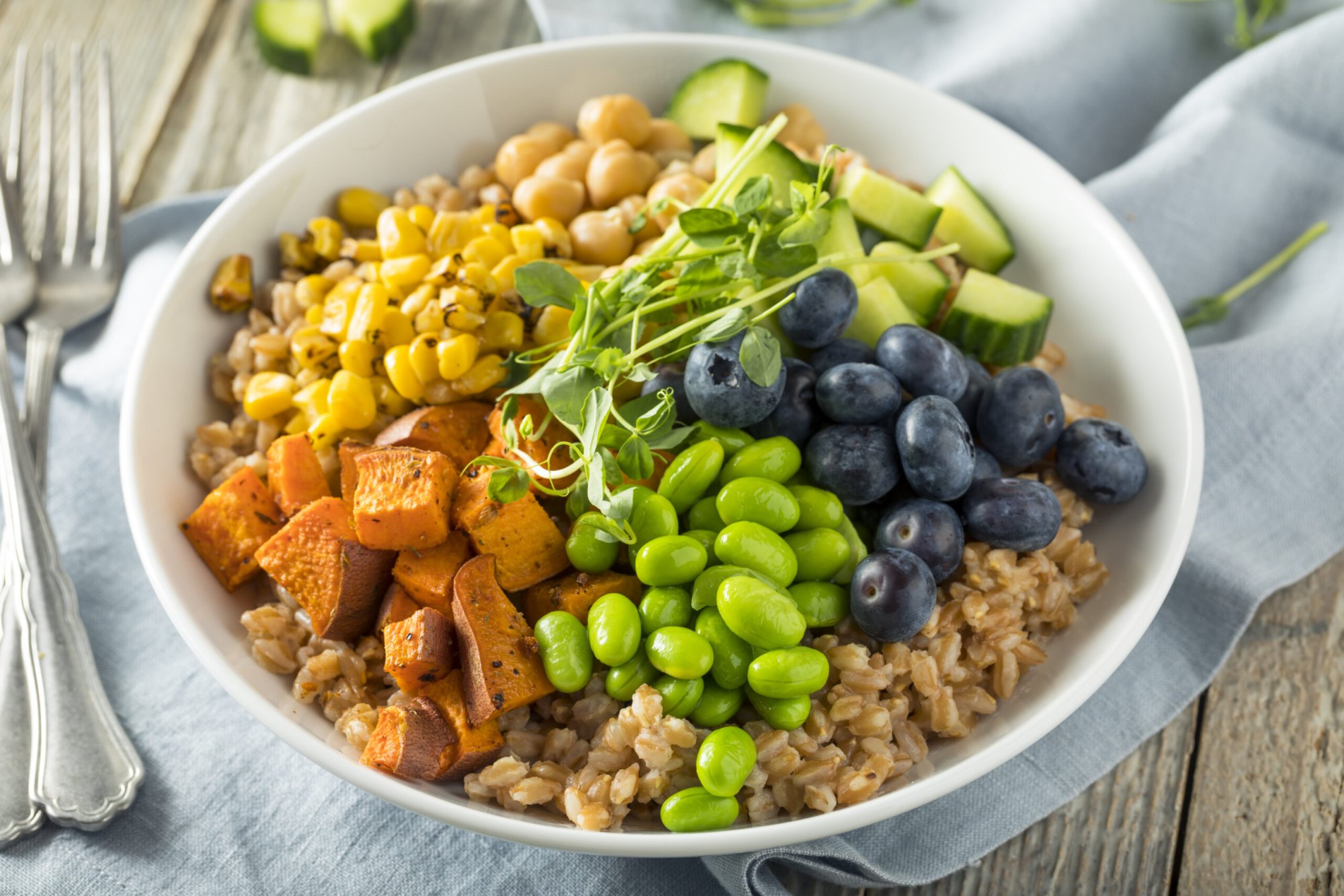 Sommer Bowl Teller mit Hirse, geröstetem Kürbis, Mais, Kichererbsen, Bohnen, Gurken und Heidelbeeren