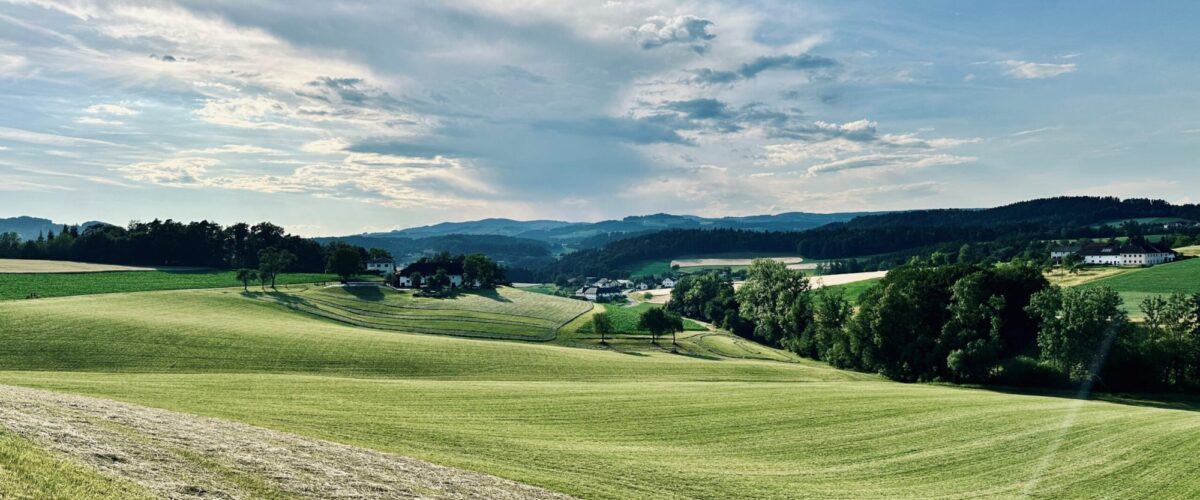 Hügelige Landschaft mit Wiesen und Felden, Wäldern und Bauernhöfe im abendlichen Licht