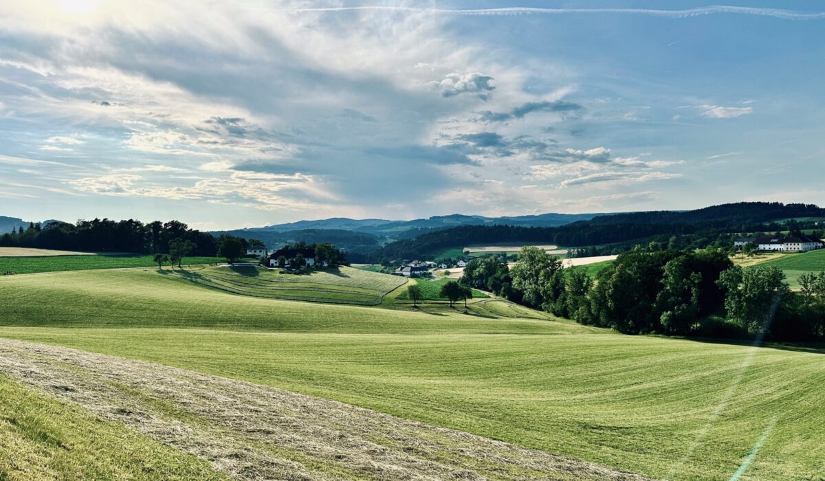 Hügelige Landschaft mit Wiesen und Felden, Wäldern und Bauernhöfe im abendlichen Licht