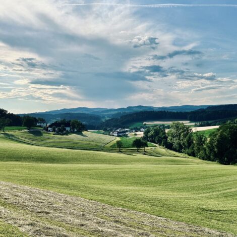 Hügelige Landschaft mit Wiesen und Felden, Wäldern und Bauernhöfe im abendlichen Licht