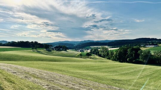 Hügelige Landschaft mit Wiesen und Felden, Wäldern und Bauernhöfe im abendlichen Licht