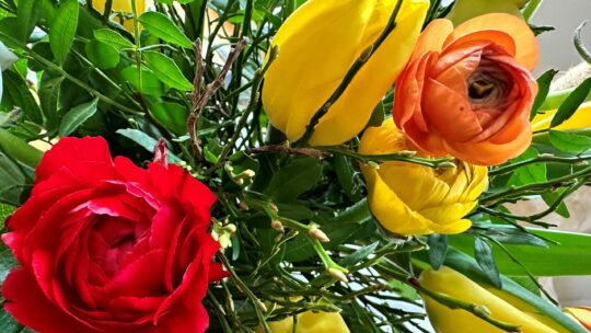 Blumenstrauß mit Tulpen und Rosen.