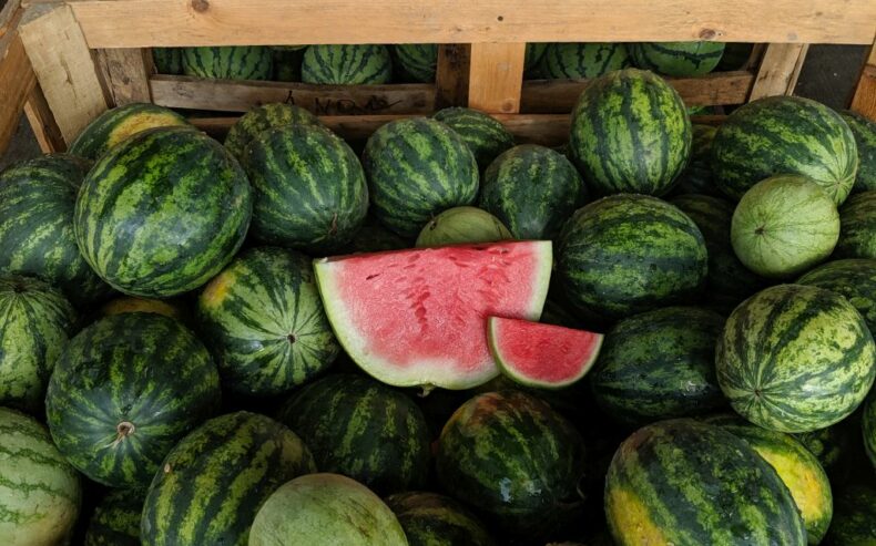 Steige mit Wassermelonen