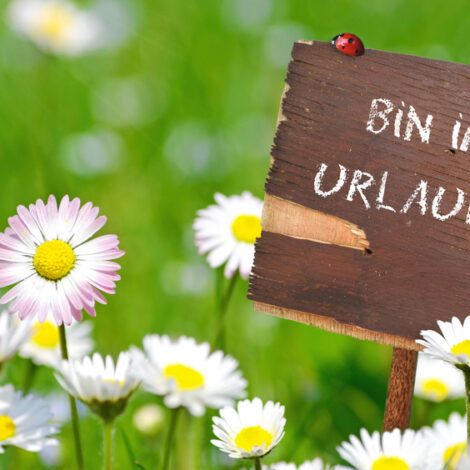 Holzschild mit der Aufschrift "Bin im Urlaub" zwischen Gänseblümchen.
