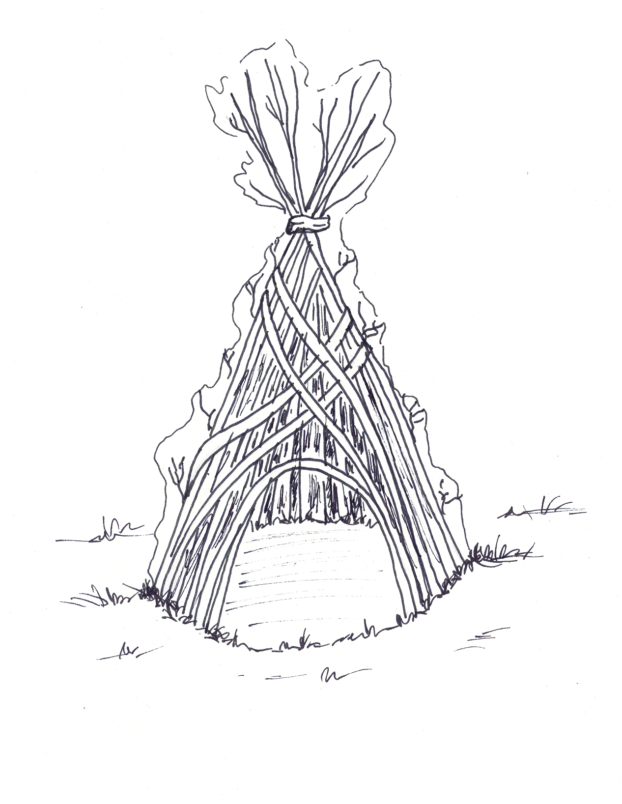 Skizze eines Weidentipis