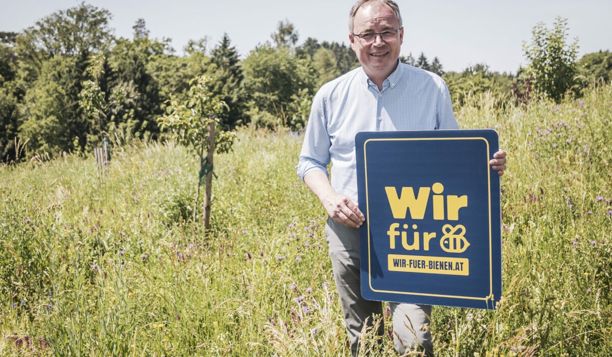 LH-Stellvertreter Stephan Pernkopf steht in einer Blumenwiese mit dem Logoschild von "Wir für Bienen"