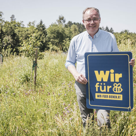 LH-Stellvertreter Stephan Pernkopf steht in einer Blumenwiese mit dem Logoschild von "Wir für Bienen"