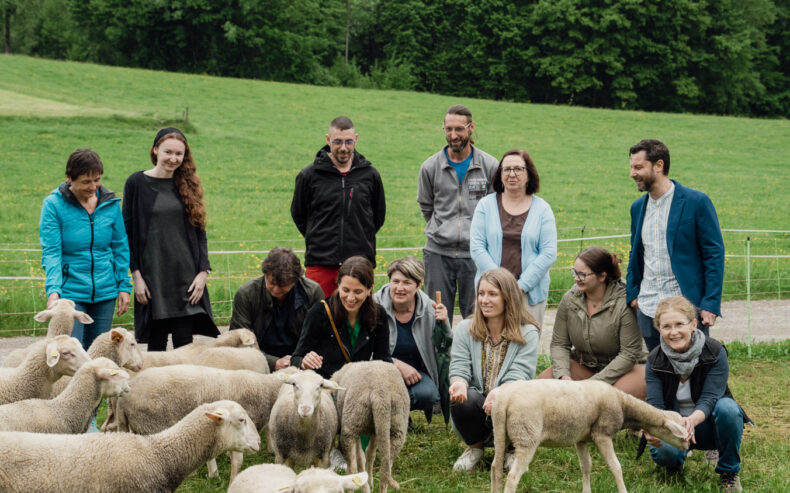 Team Wollwerkstatt mit Schafen auf der Weide