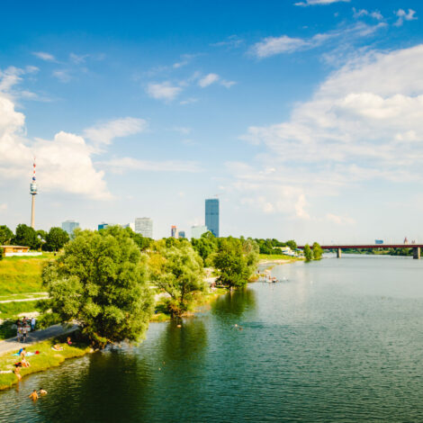 Blick auf die Donauinsel mit Donau und Bäumen und Donauturm im Hintergrund