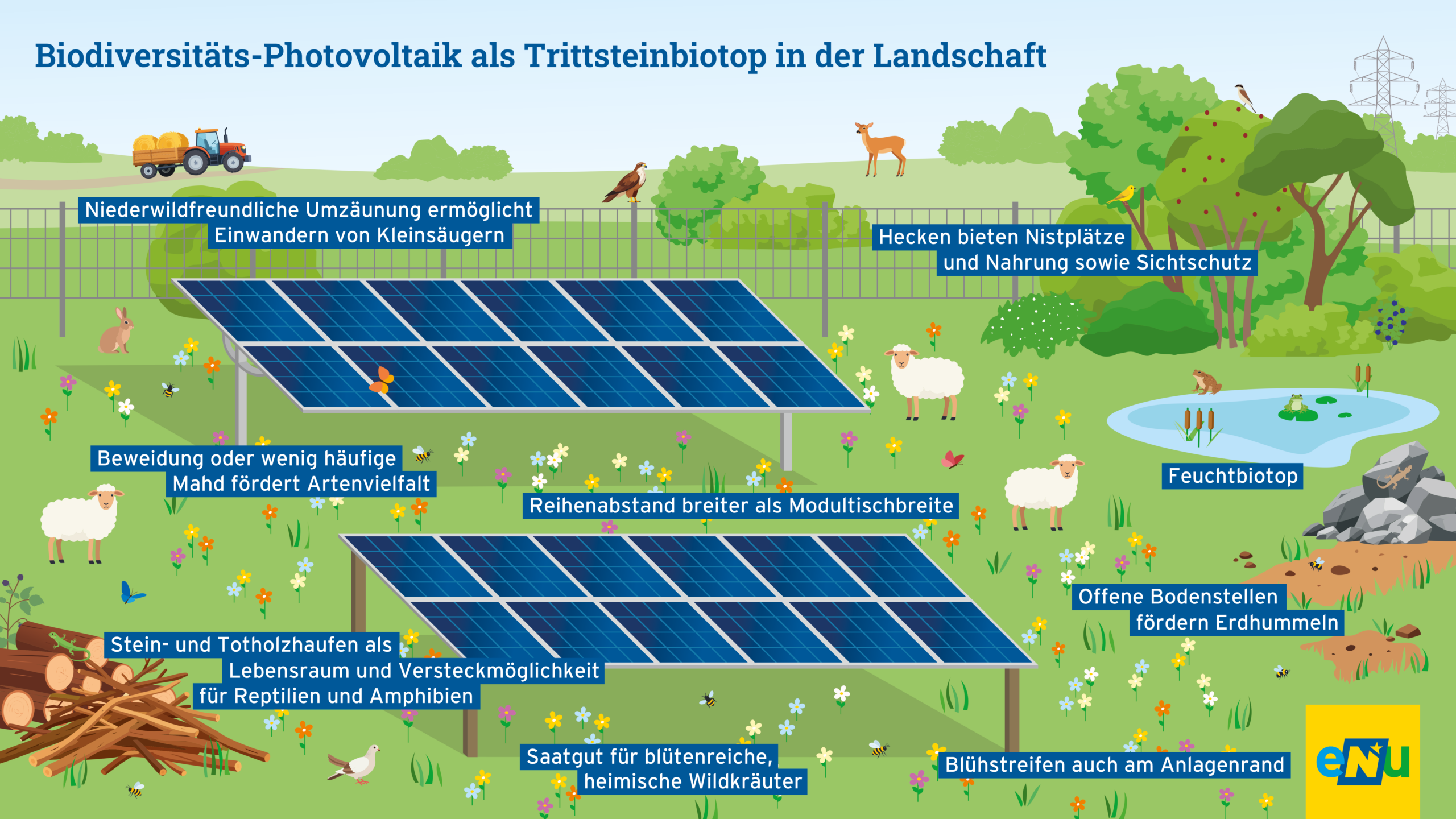 Infografik Biodiversität-Photovoltaik als Trittsteinbiotop in der Landschaft Naturland NÖ.
