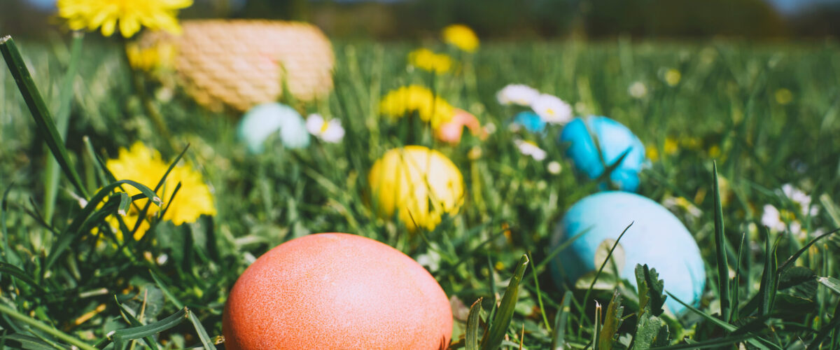 Bunter Ostereier in der Blumenwiese
