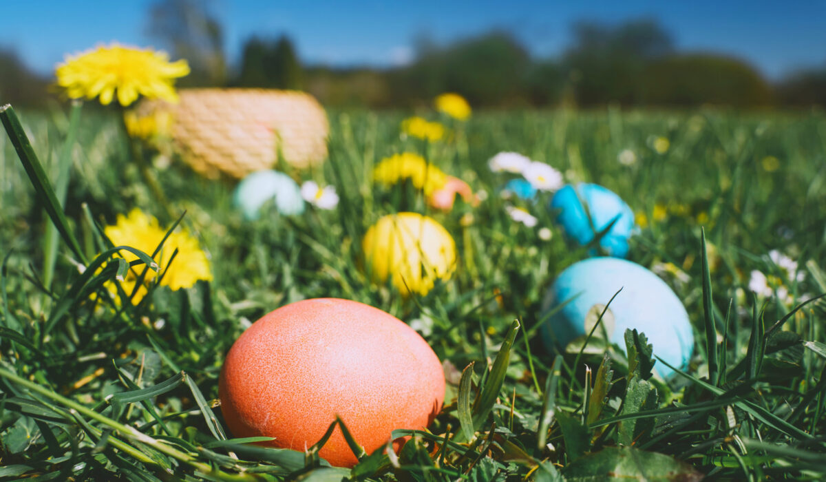 Bunter Ostereier in der Blumenwiese