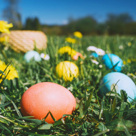 Bunter Ostereier in der Blumenwiese