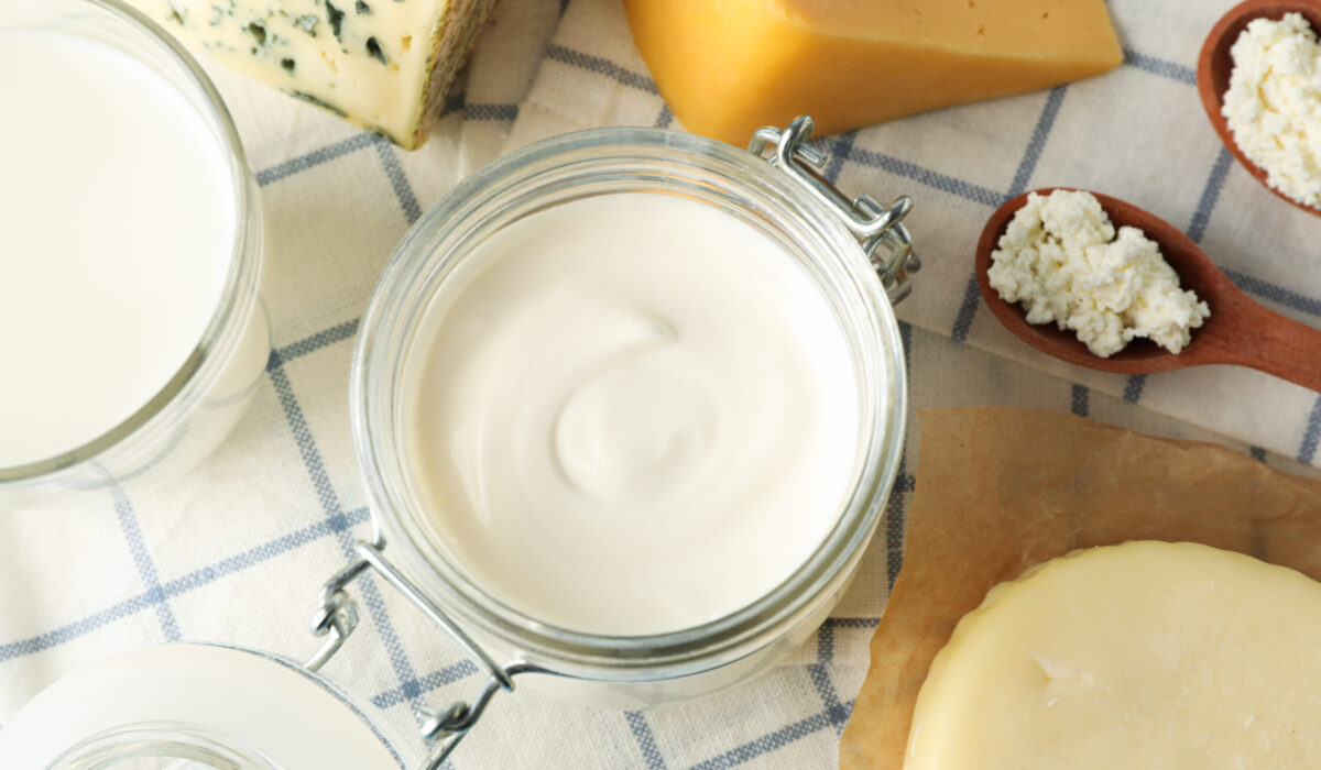 Milchprodukte wie Butter, Milch, Frischkäse und Hartkäse auf einem karierten Tischtuch