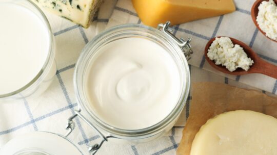 Milchprodukte wie Butter, Milch, Frischkäse und Hartkäse auf einem karierten Tischtuch