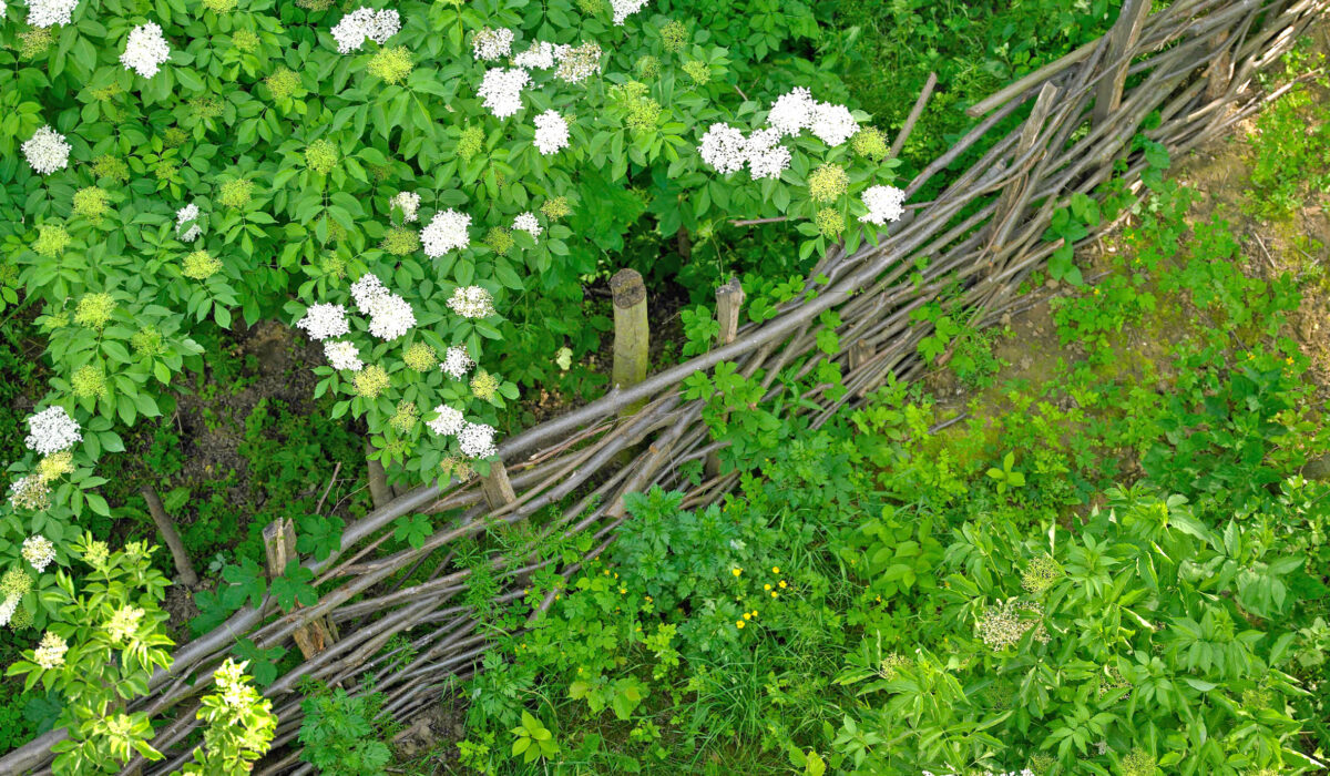 Garten lebendig gestalten