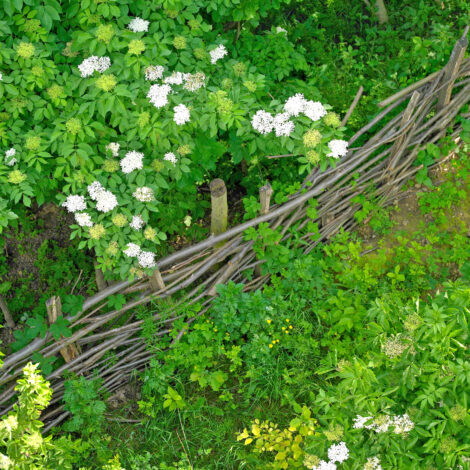 Garten lebendig gestalten