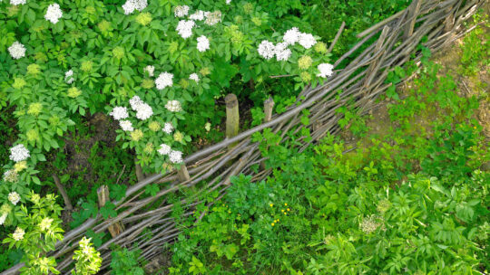 Garten lebendig gestalten