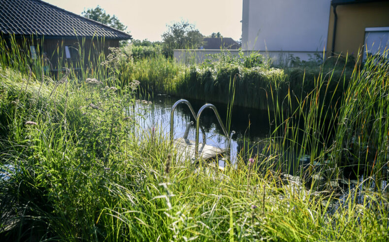 Schwimmteich im Garten