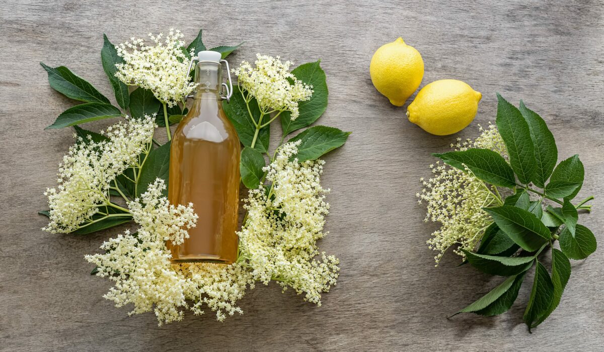 Holunderblütensirup in einer Flasche mit Holunderblüten und Zitronen