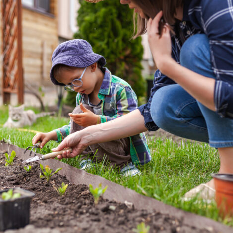 Ein gesunder Gartenboden braucht Pflege.