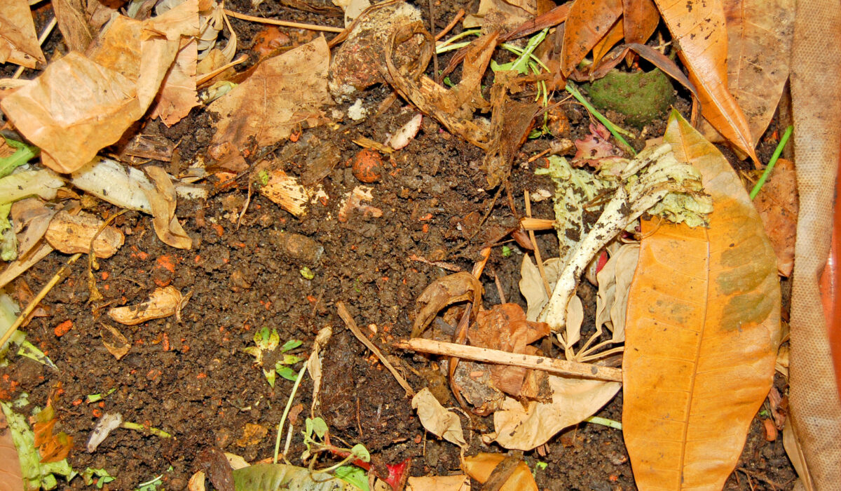 Kompost aus Garten- und Küchenabfälle