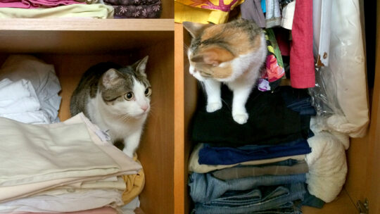 Schichtwechsel im Kleiderschrank