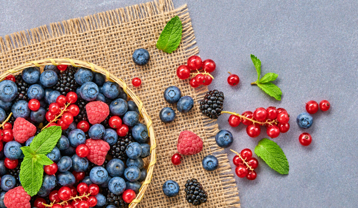 Verschiedene Beeren wie Himbeeren, Brombeeren, Heidelbeeren und Ribisel liegen in einer Holzschüssel und auf dem Tisch