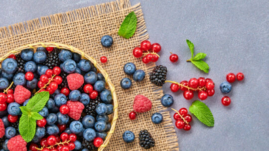 Verschiedene Beeren wie Himbeeren, Brombeeren, Heidelbeeren und Ribisel liegen in einer Holzschüssel und auf dem Tisch