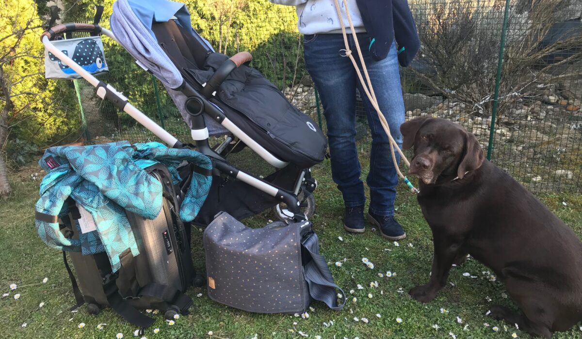 Mobil mit Baby und Hund