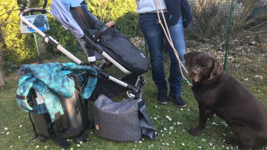 Mobil mit Baby und Hund