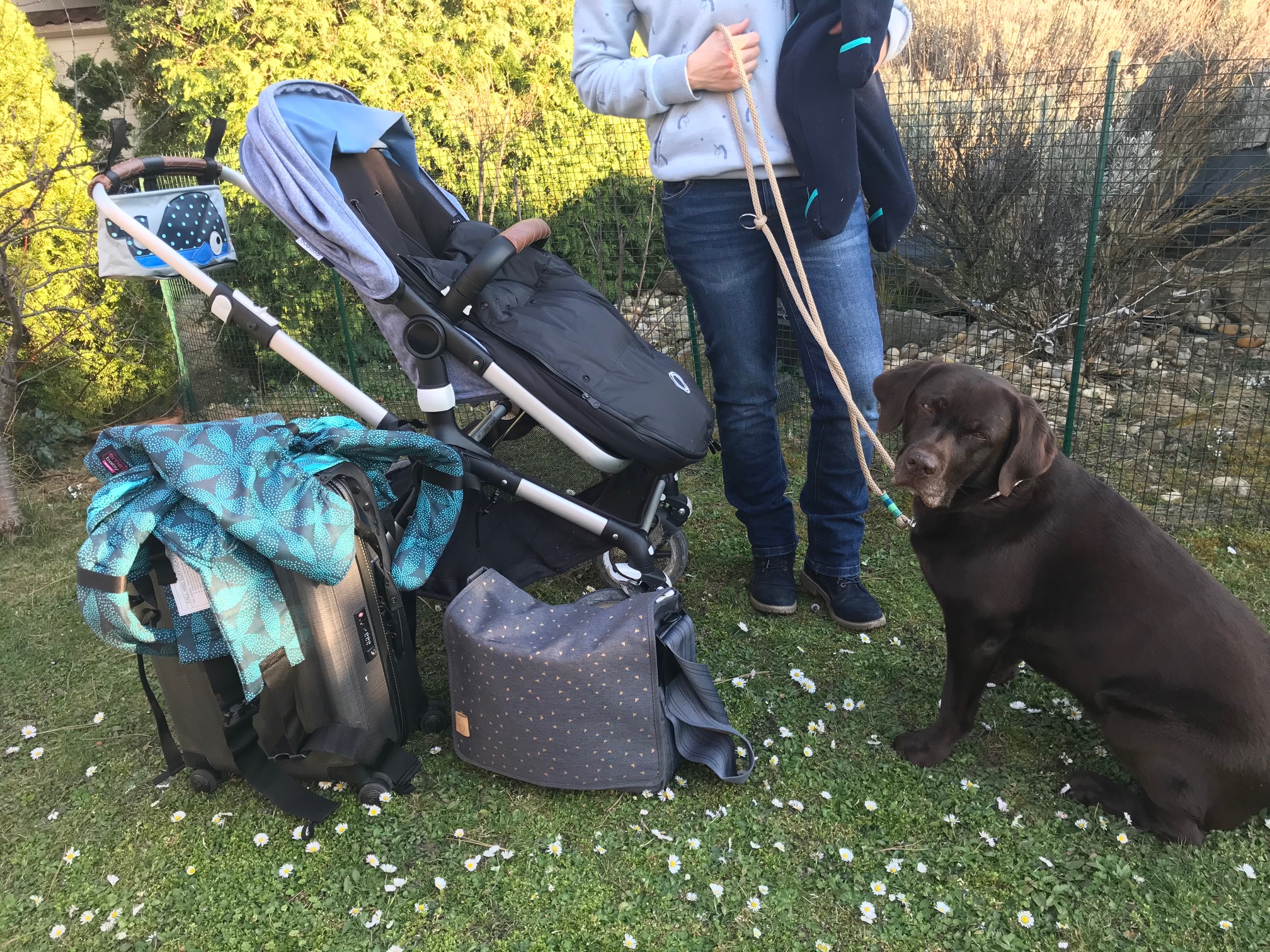 Mobil sein mit Baby und Hund | Wir leben nachhaltig