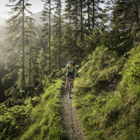 FRau mit Mountainbike in den Bergen