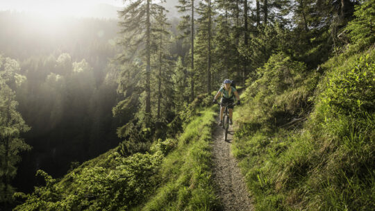 FRau mit Mountainbike in den Bergen