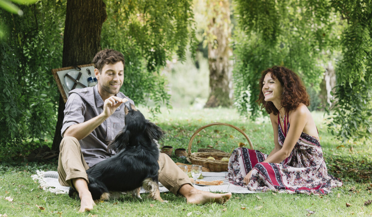 Picknick im Grünen