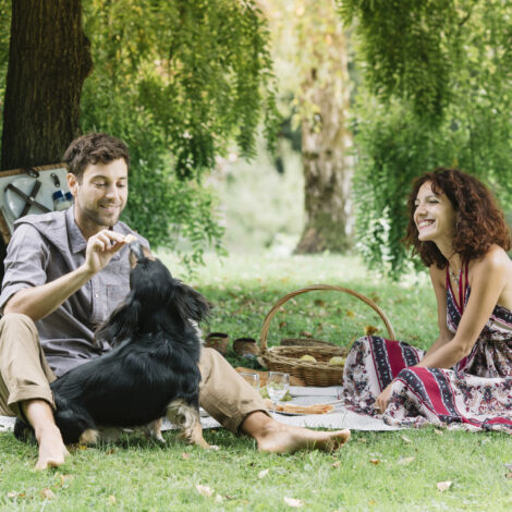 Picknick im Grünen