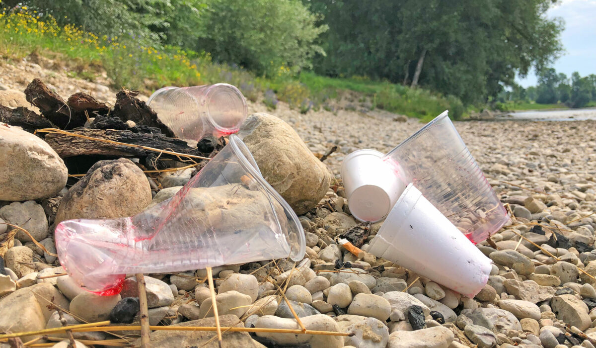 Einwegplastikbecher werden oft sorglos in der Umwelt entsorgt.