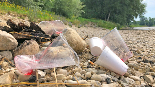 Einwegplastikbecher werden oft sorglos in der Umwelt entsorgt.